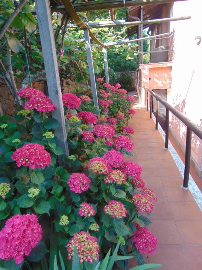 סאבונה Casa Roberto B&B מראה חיצוני תמונה
